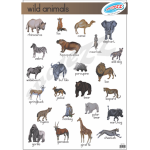 WILD ANIMALS - POSTER  